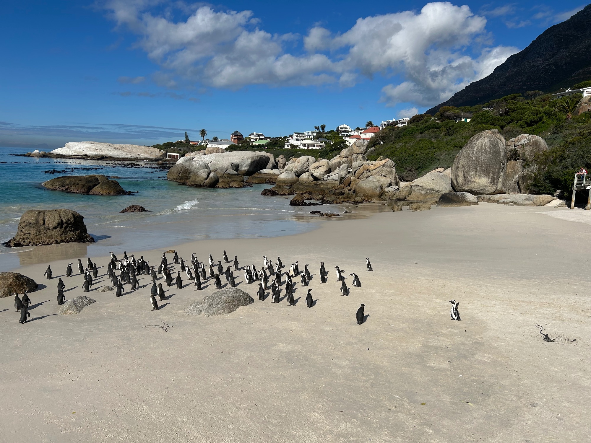 South Africa travel story
