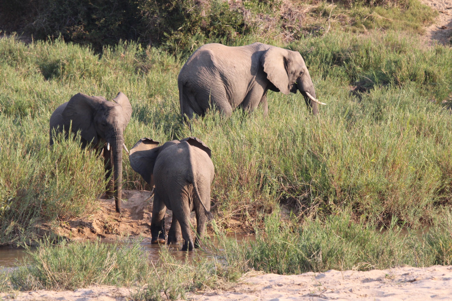 South Africa travel story