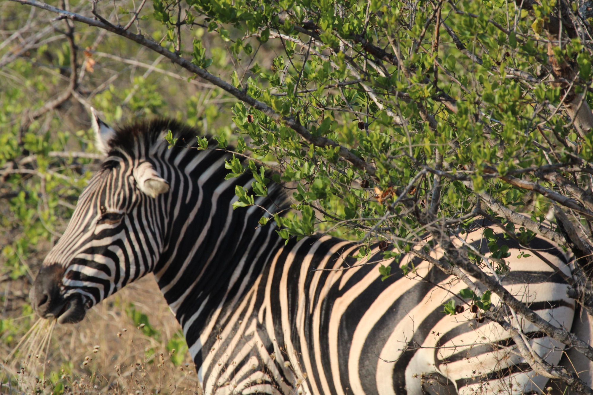 South Africa travel story