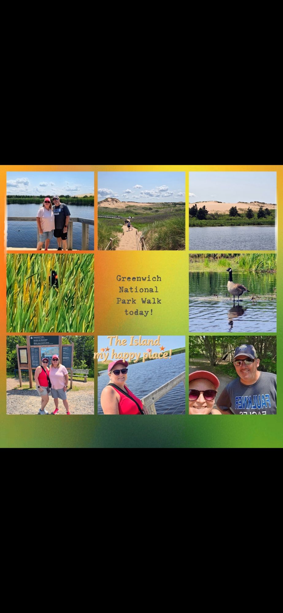 Kathy Ellis Finds the Heartbeat of Prince Edward Island One Unplanned Moment at a Time