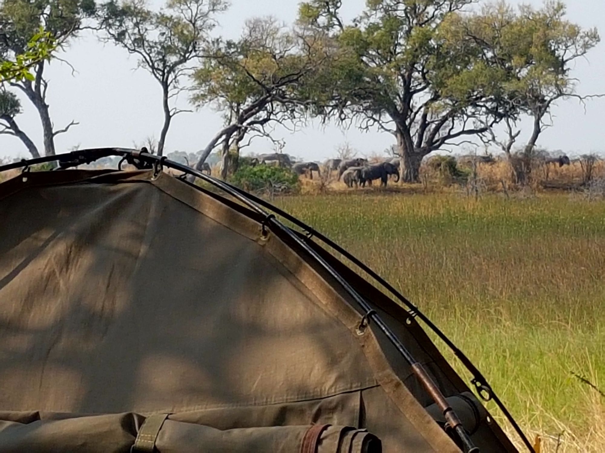 Botswana — Courtney Morin's travel story