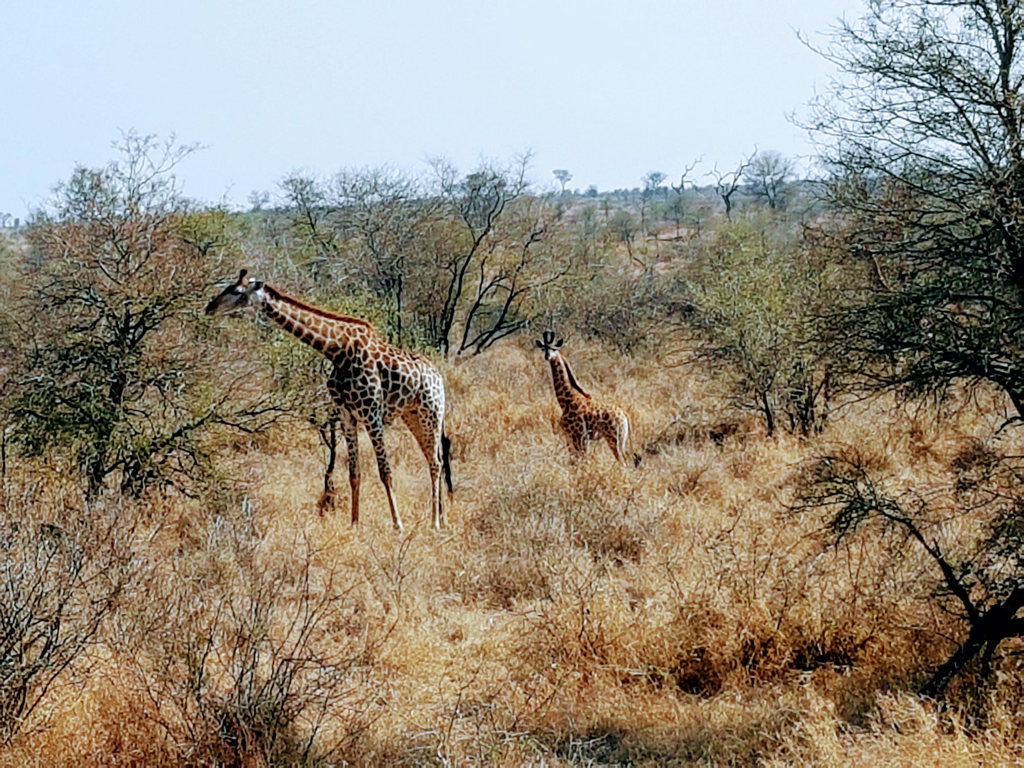 Botswana