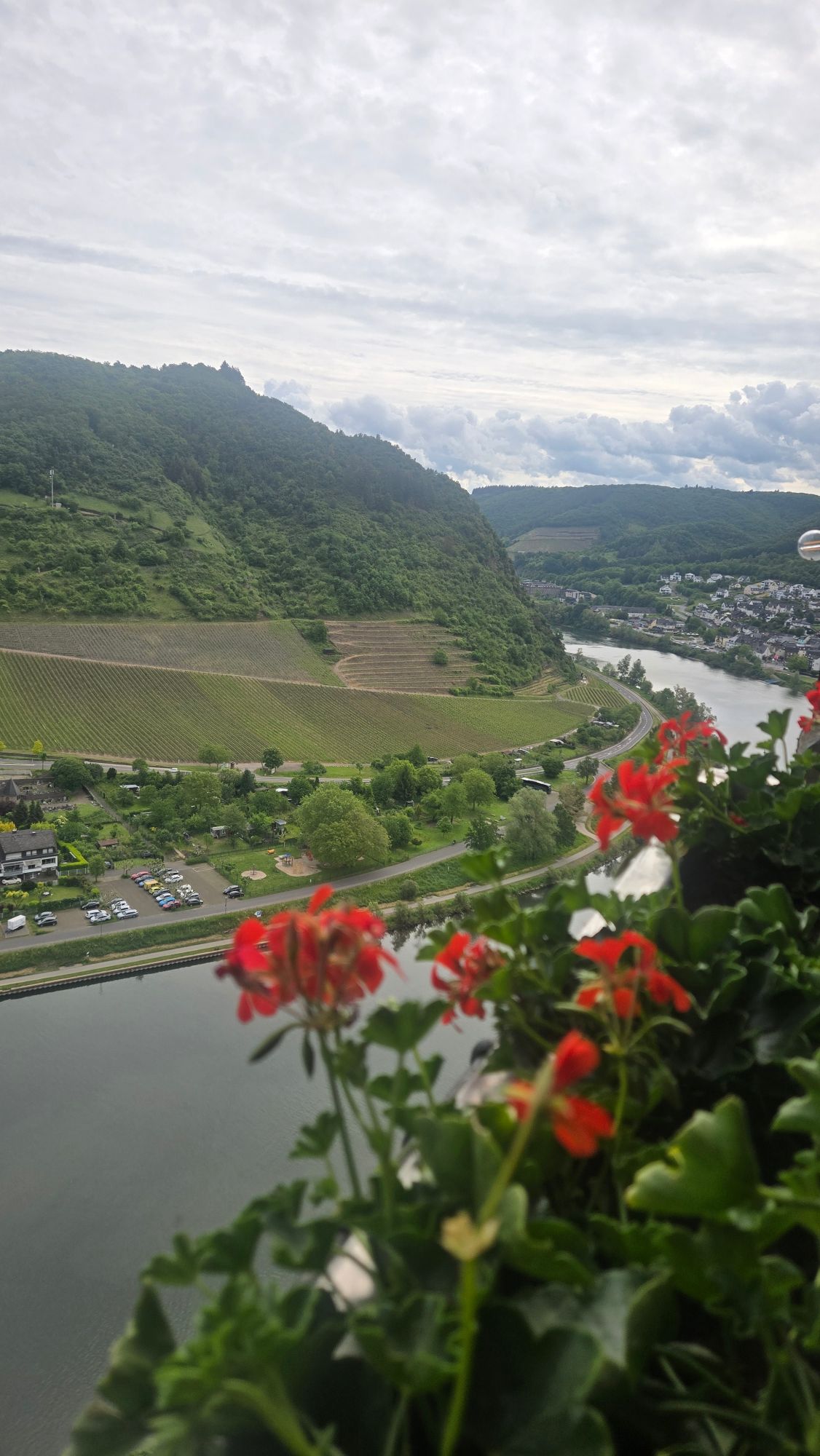 Heather Clifton Discovers the Intimate Magic of the Rhine Aboard Emerald Cruises — Germany