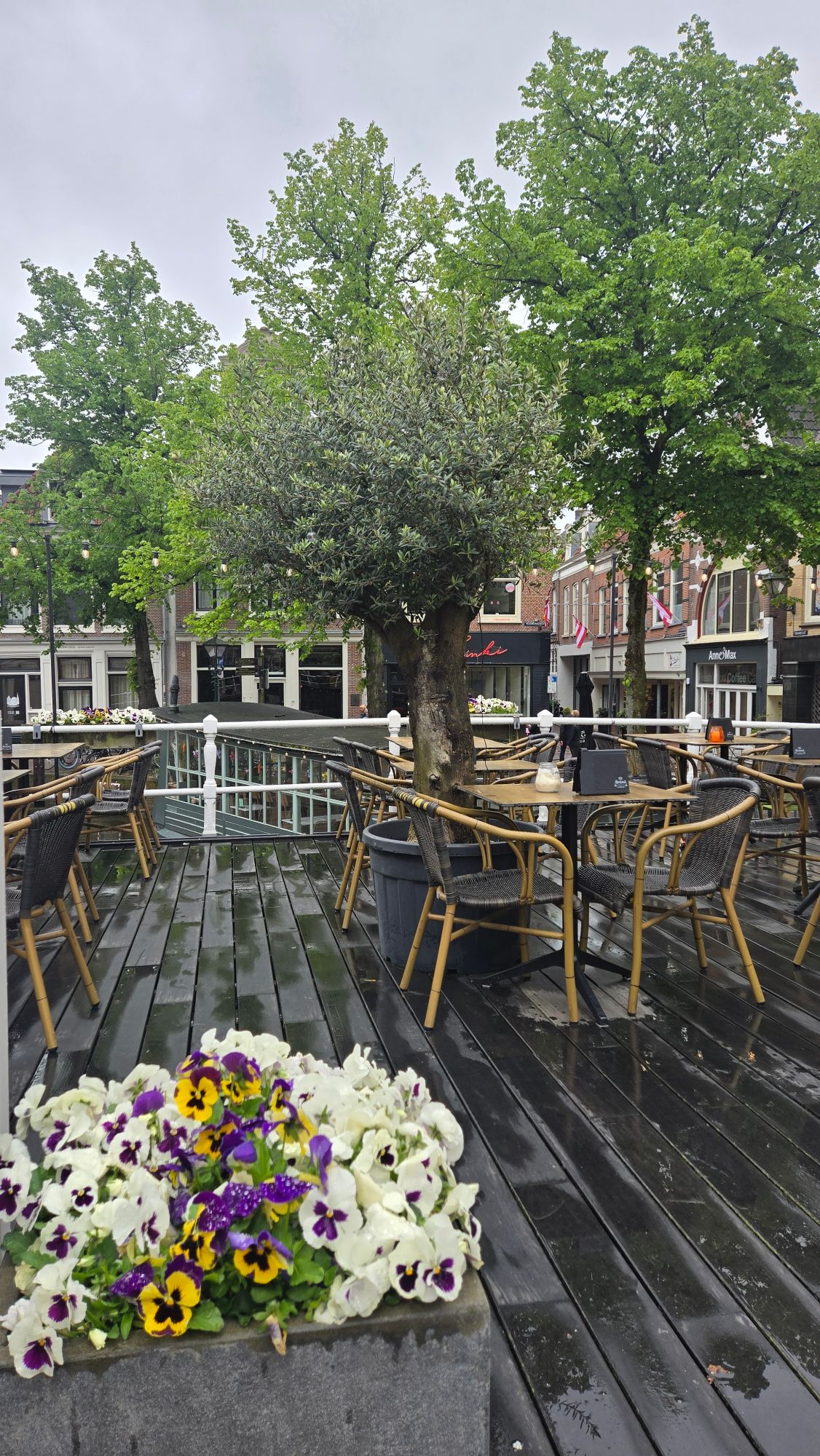 Heather Clifton Discovers the Intimate Magic of the Rhine Aboard Emerald Cruises — Germany
