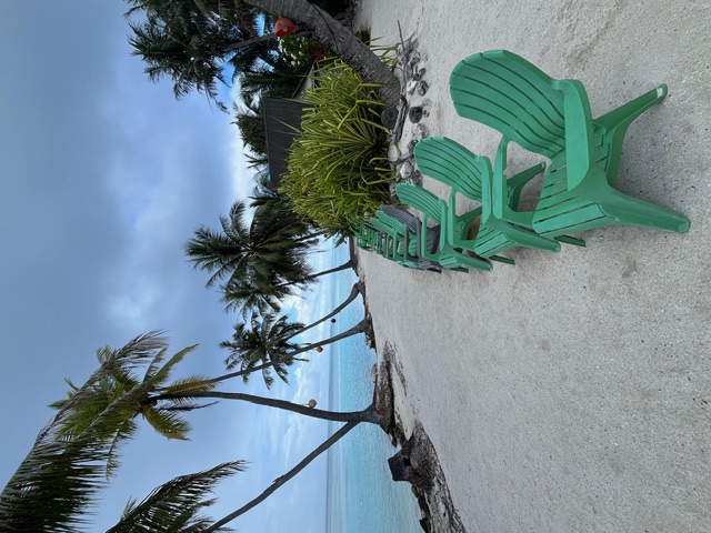 Beachgoers swimming and wading in turquoise water with palm trees and sandy shore in Tahiti