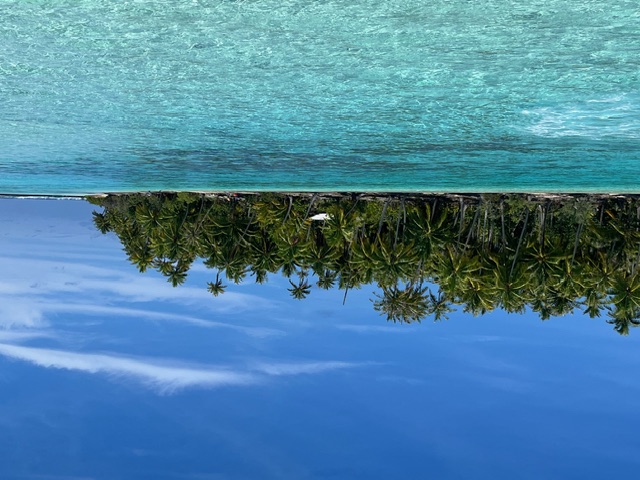Palm tree trunk casting shadow on white sand with boats and turquoise water in the background