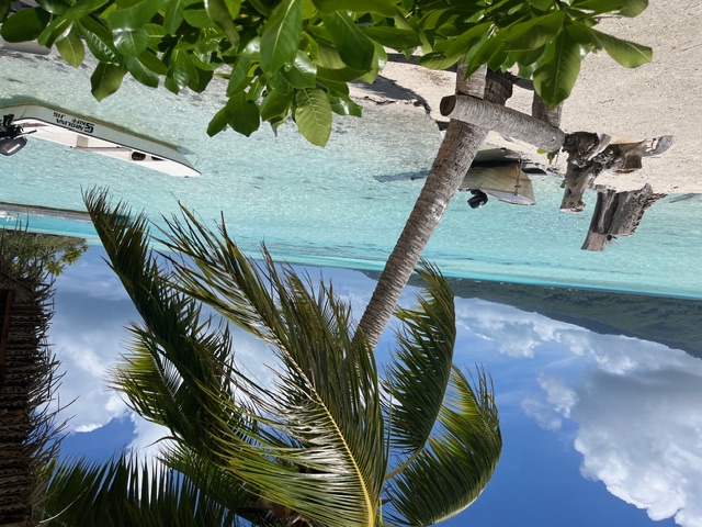 Beachfront with palm trees, lounge chairs, and turquoise water with mountains across the lagoon in Tahiti