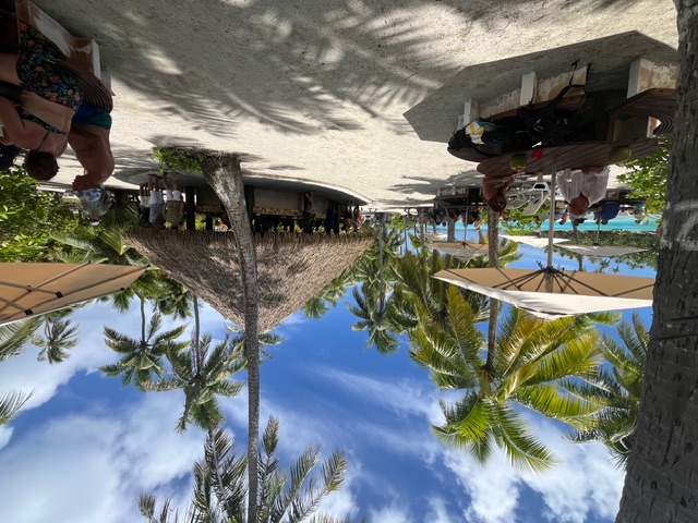 Thatched-roof gathering space on a beach with palm trees and turquoise water in the background