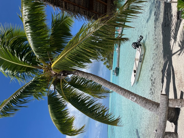 White lounge chairs arranged on sand beneath swaying palm fronds with turquoise lagoon beyond