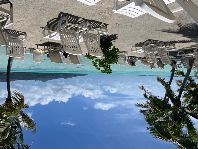 Palm tree trunk leaning over white sand with a small motorboat anchored in clear turquoise water