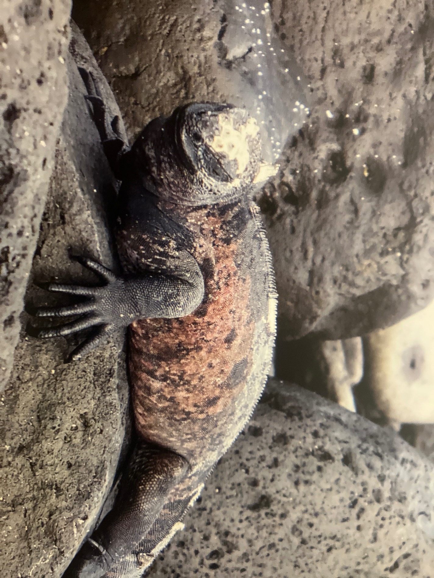 Ecuador — Cathy Scott's travel story