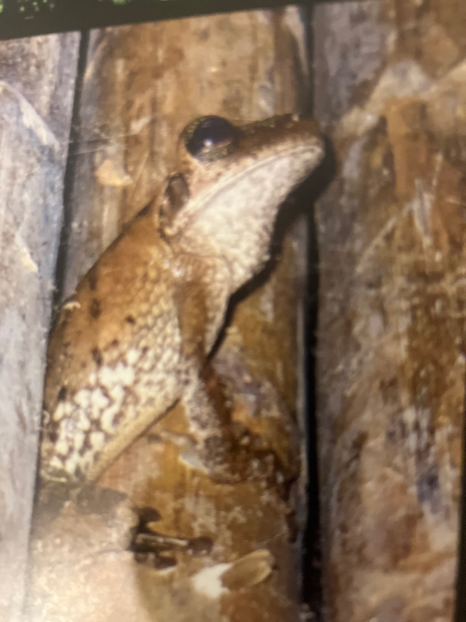 Ecuador — Cathy Scott's travel story