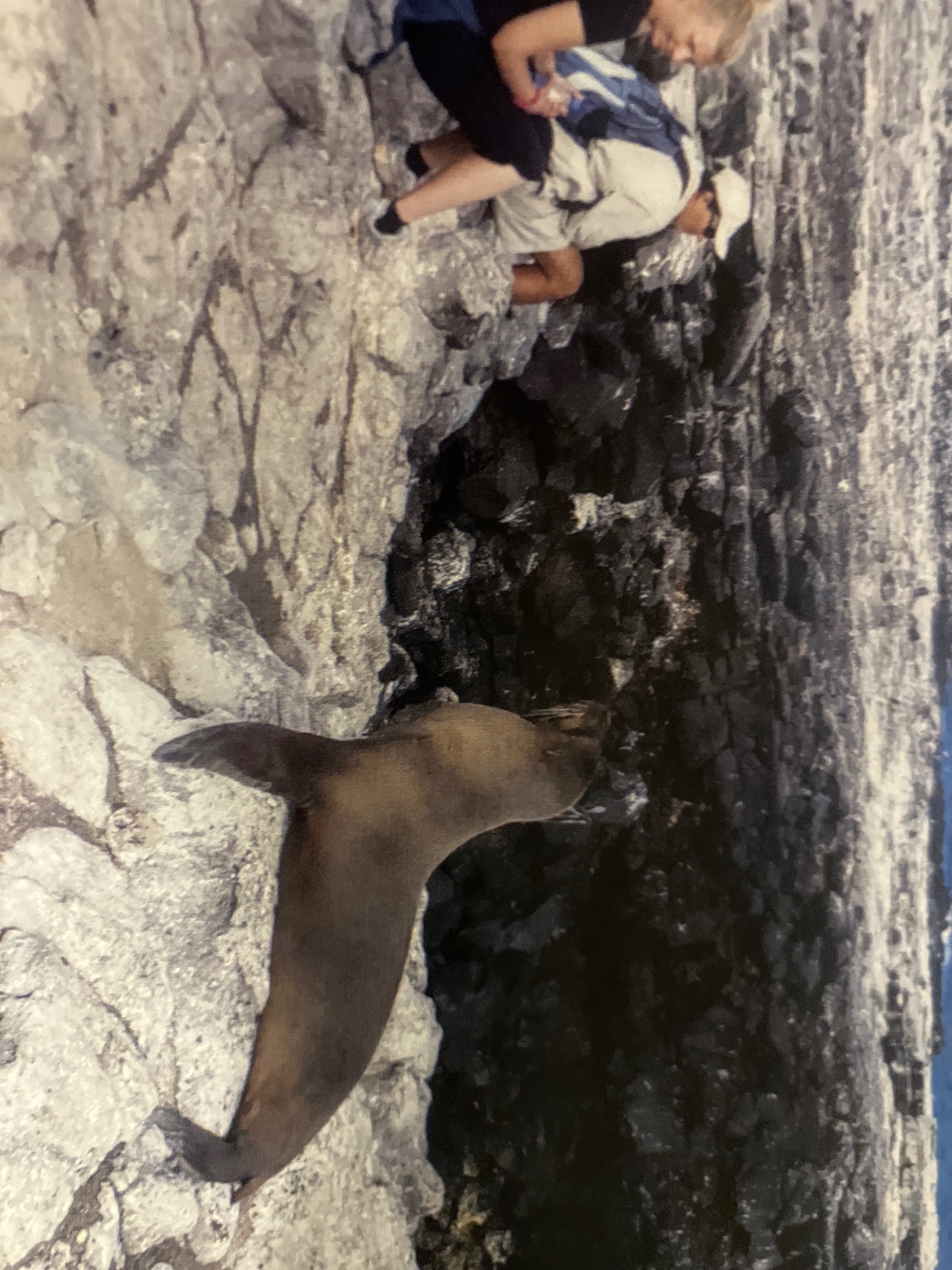 Ecuador — Cathy Scott's travel story