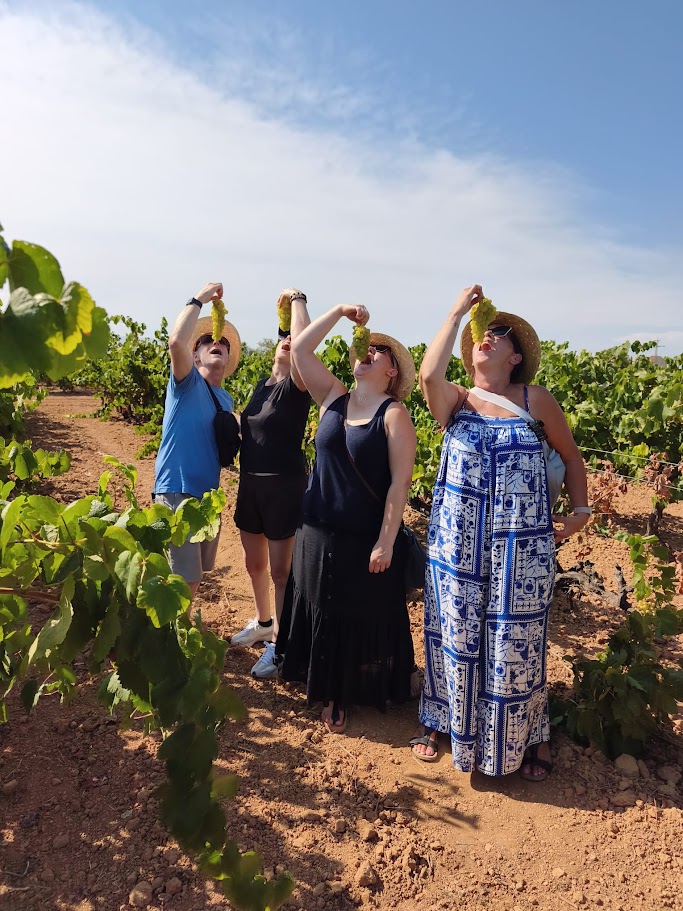 Mediterranean — Erica Gillespie's travel story
