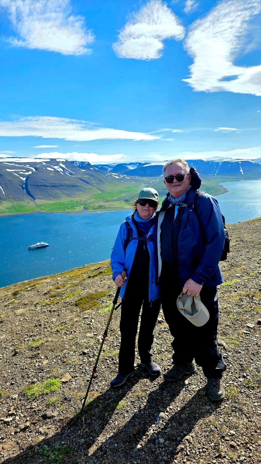 Panoramic view of blue fjord with mountains, green valleys, and cruise ship below