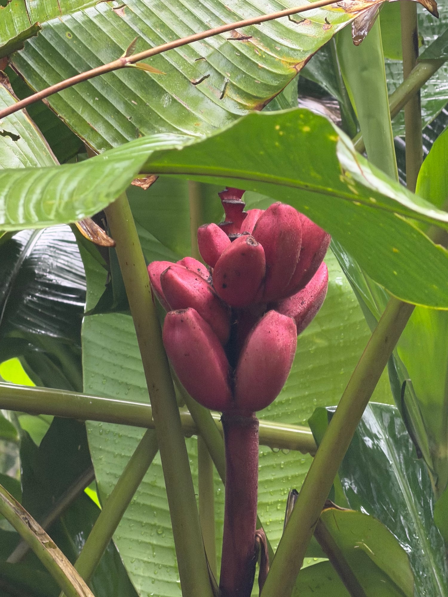 Costa Rica — Lori Richardson's travel story