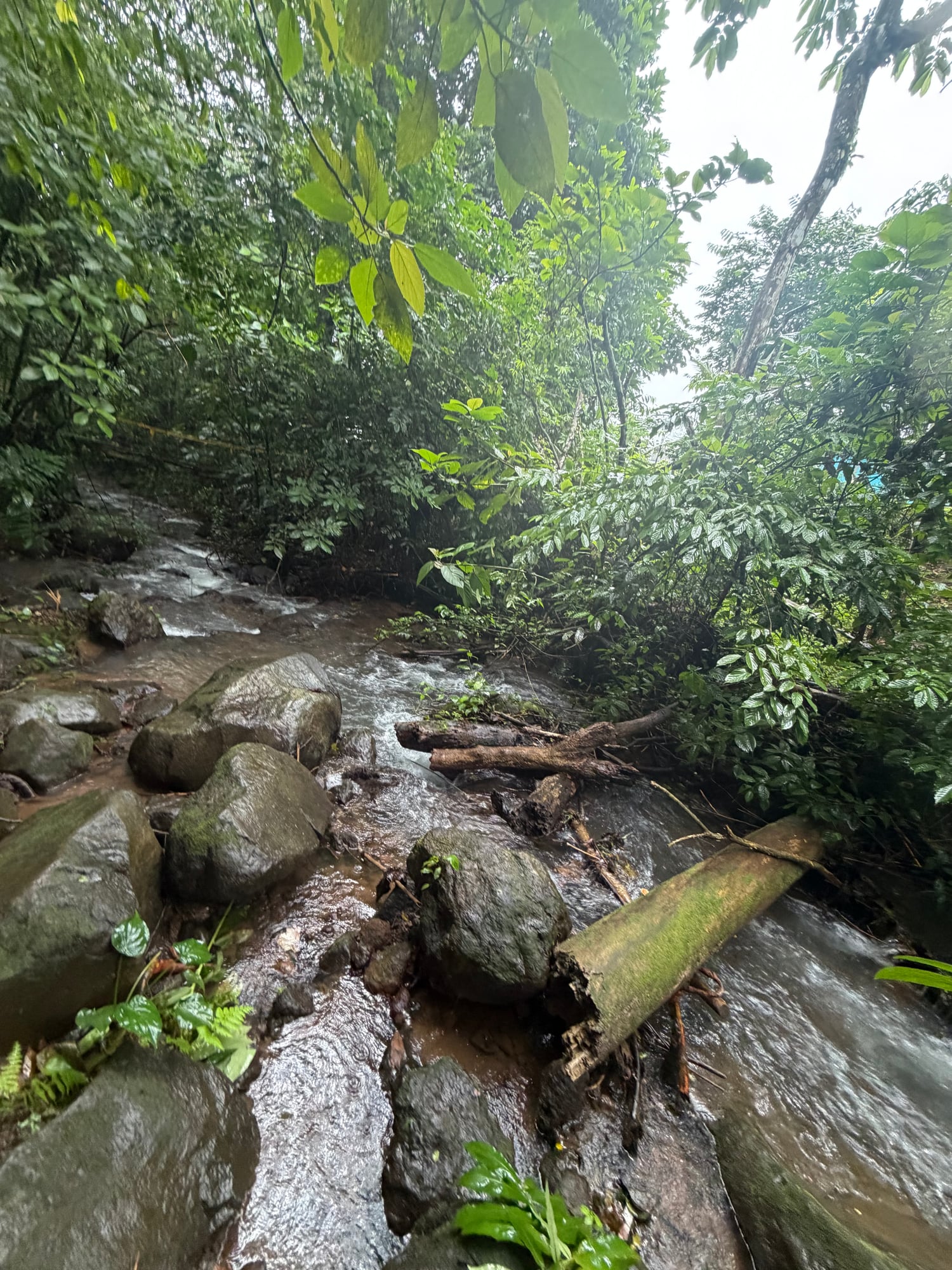 Costa Rica — Lori Richardson's travel story