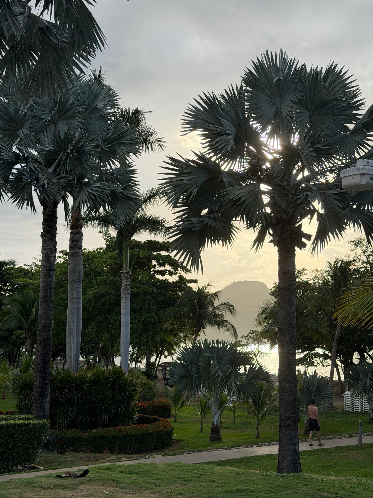 Costa Rica — Lori Richardson's travel story