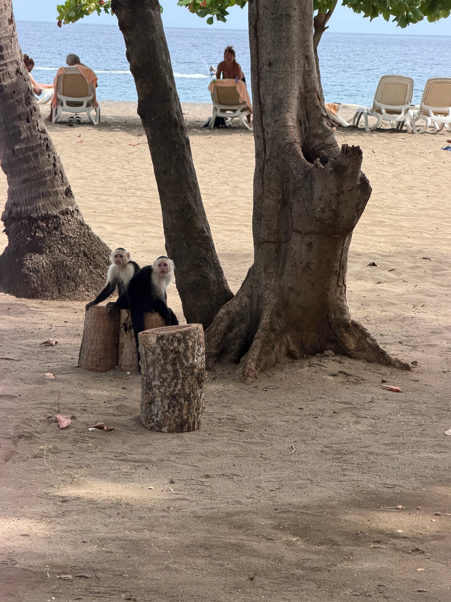 Costa Rica — Lori Richardson's travel story