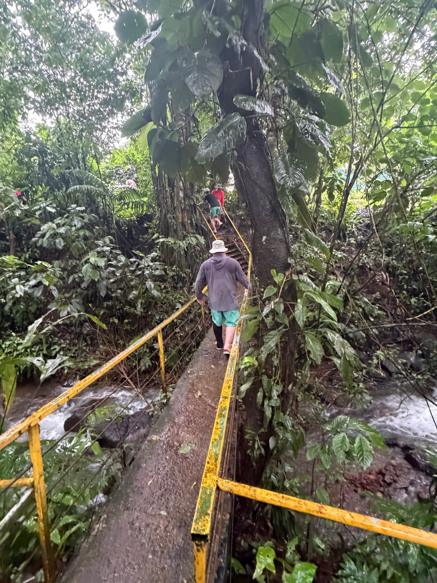 Costa Rica — Lori Richardson's travel story