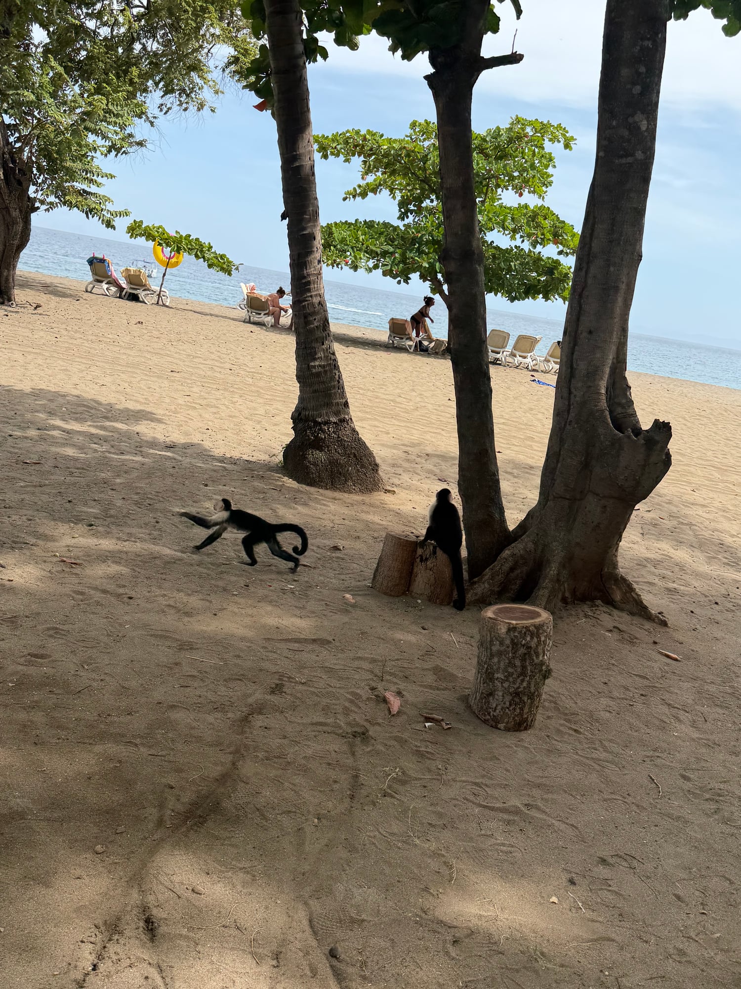 Costa Rica — Lori Richardson's travel story
