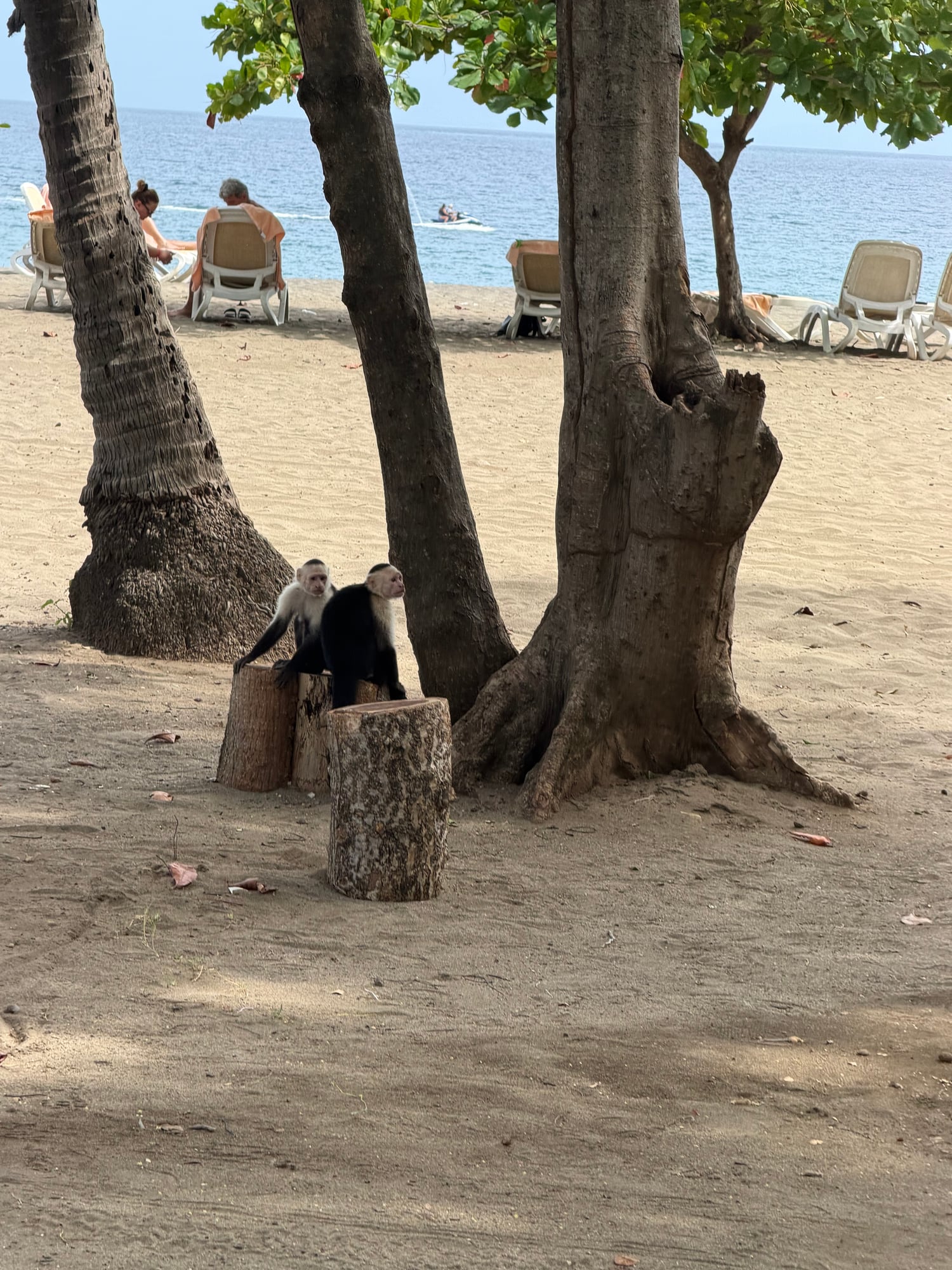 Costa Rica — Lori Richardson's travel story