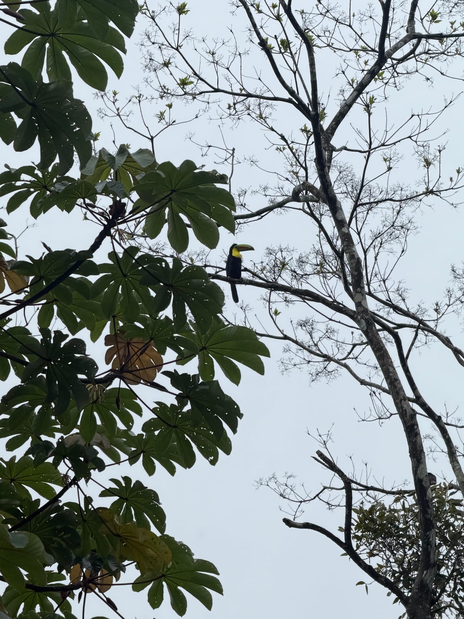 Costa Rica — Lori Richardson's travel story