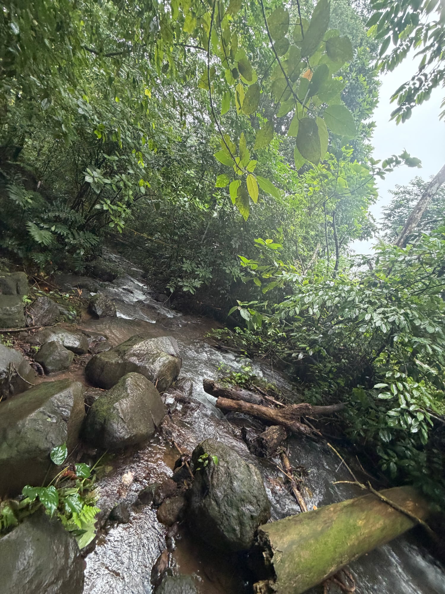Costa Rica — Lori Richardson's travel story