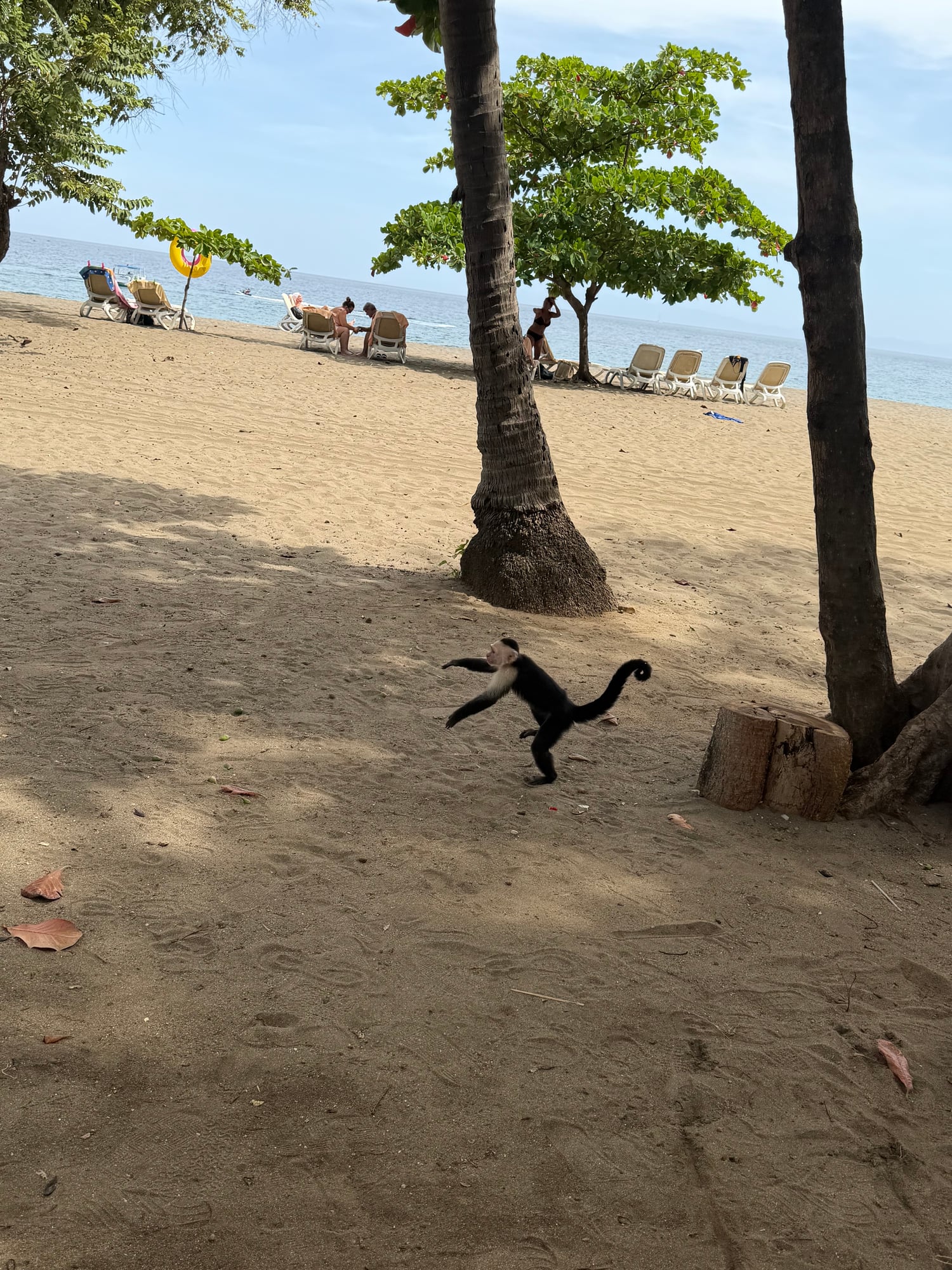 Costa Rica — Lori Richardson's travel story