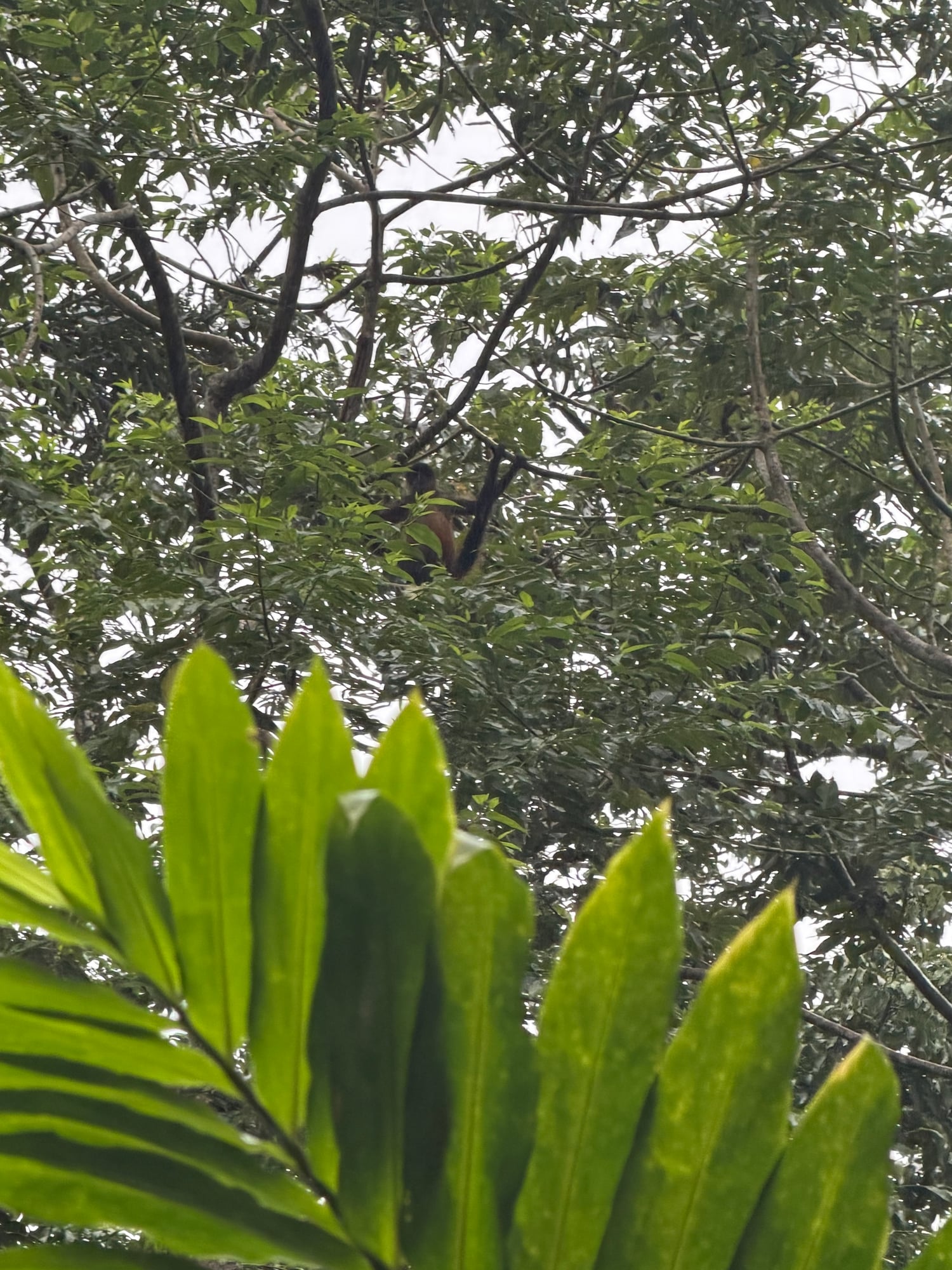Costa Rica — Lori Richardson's travel story