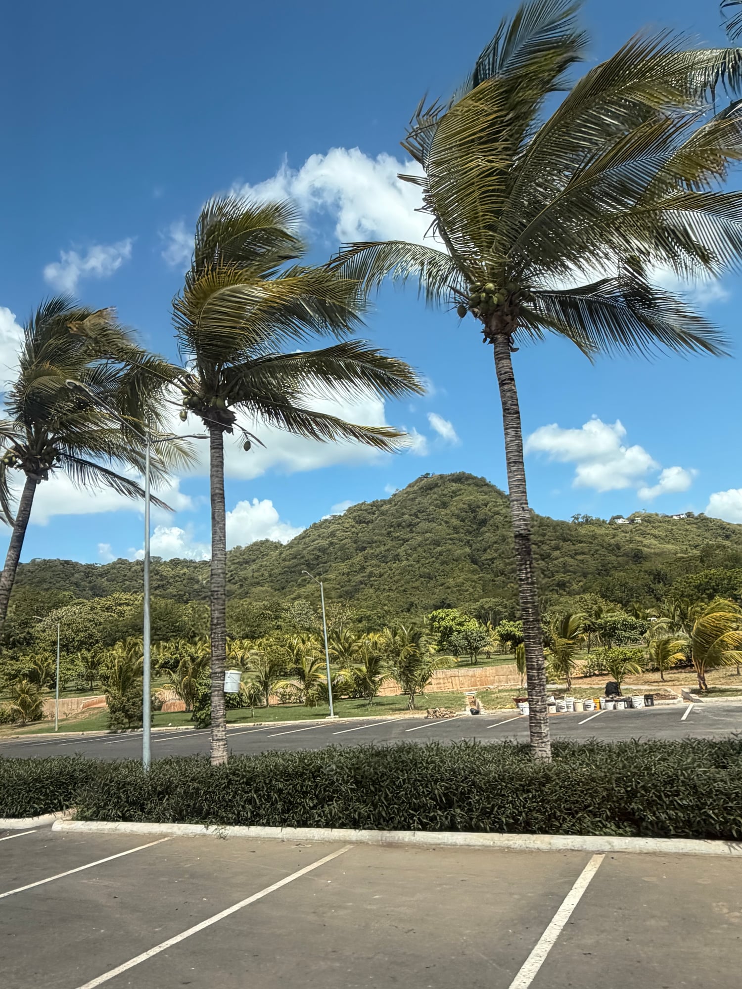 Costa Rica — Lori Richardson's travel story