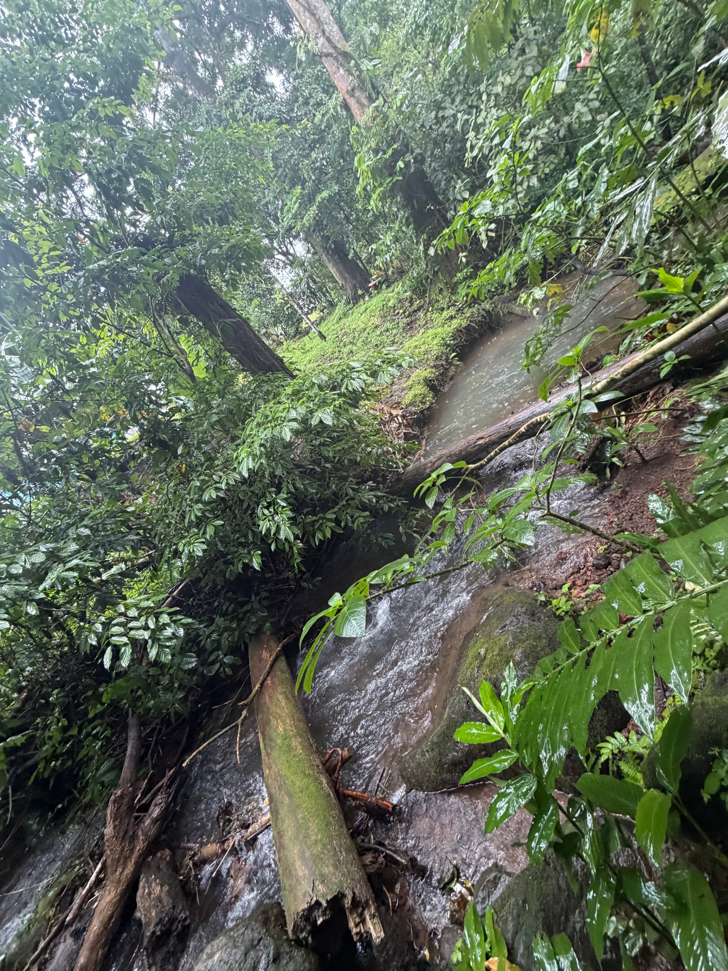 Costa Rica — Lori Richardson's travel story