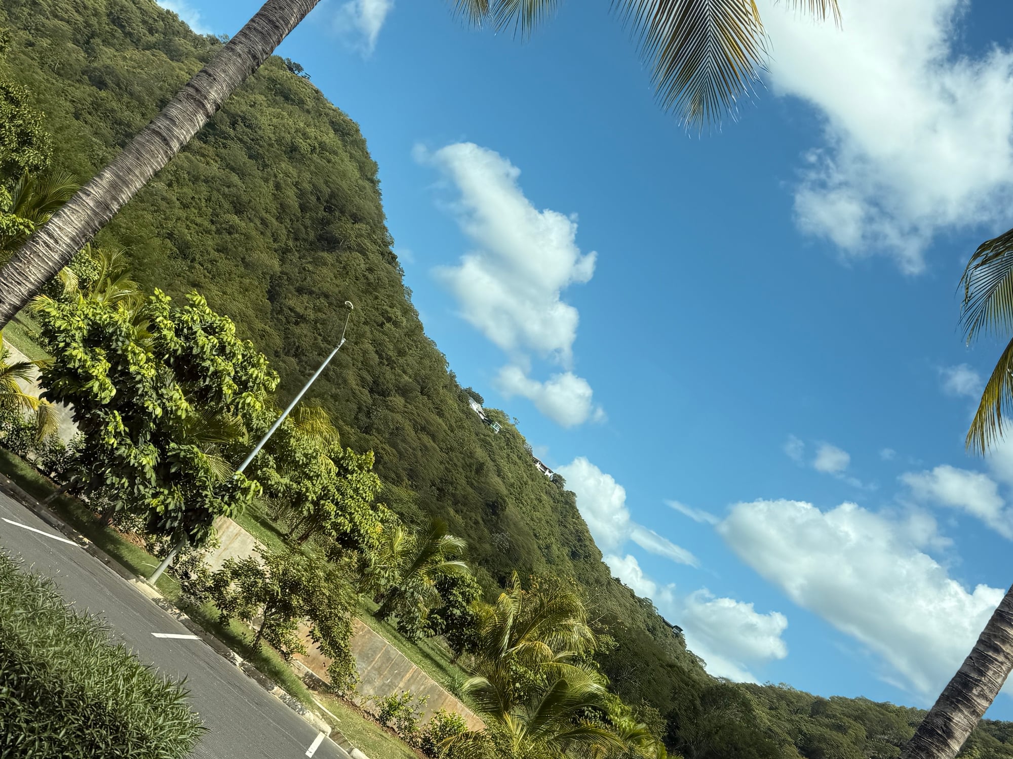 Costa Rica — Lori Richardson's travel story