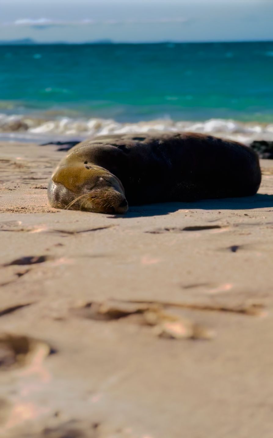 Ecuador — Nicholas Ruge's travel story