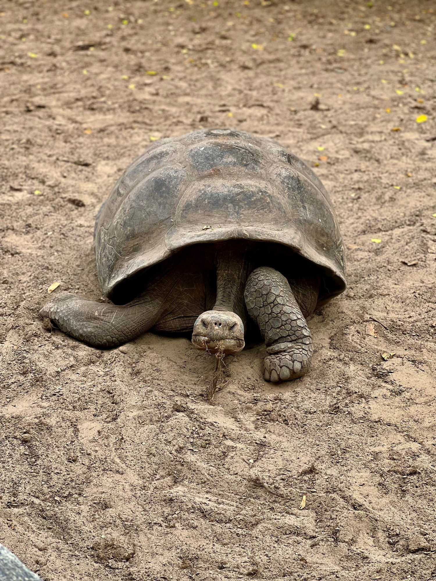 Ecuador — Nicholas Ruge's travel story