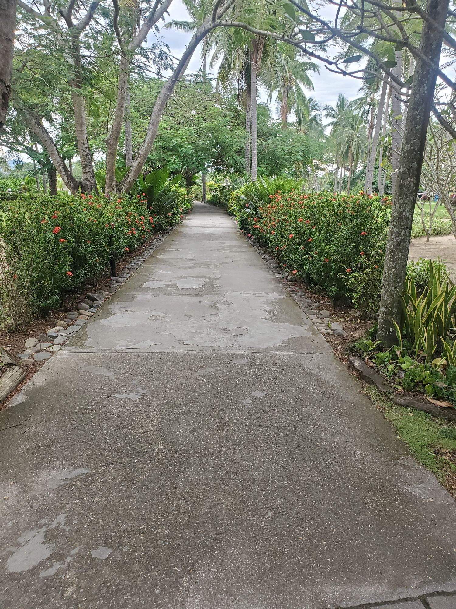 Travel photo