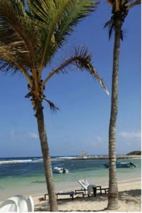 From Island Dreams to Montego Bay: How Jessica Samaroo Found Her Calling in Travel
