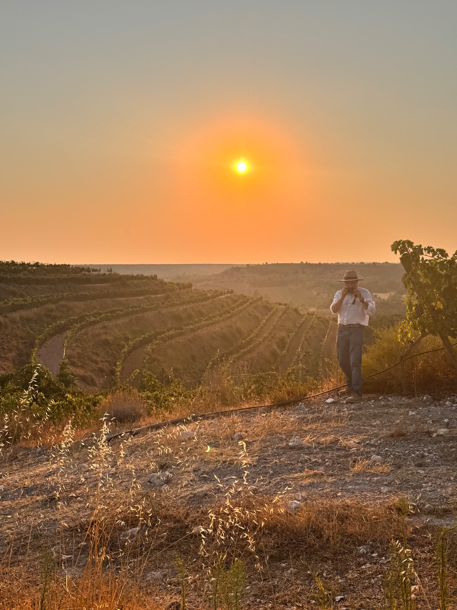 Kristen Kamysz Chased a Total Solar Eclipse Across Spain by Train — and Found Something She Never Expected — Spain