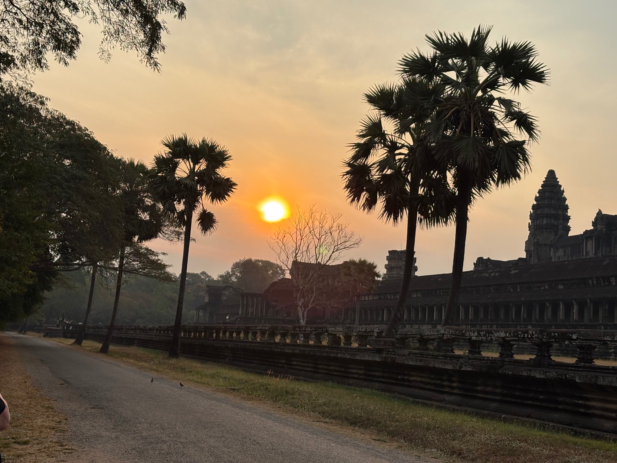 Sunset over Angkor Wat temple complex with palm trees silhouetted against orange sky