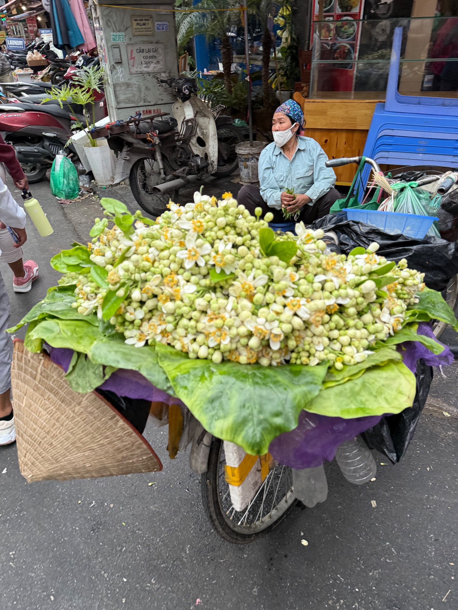 Street vendor selling fresh white flowers and green vegetables from bicycle cart in urban market