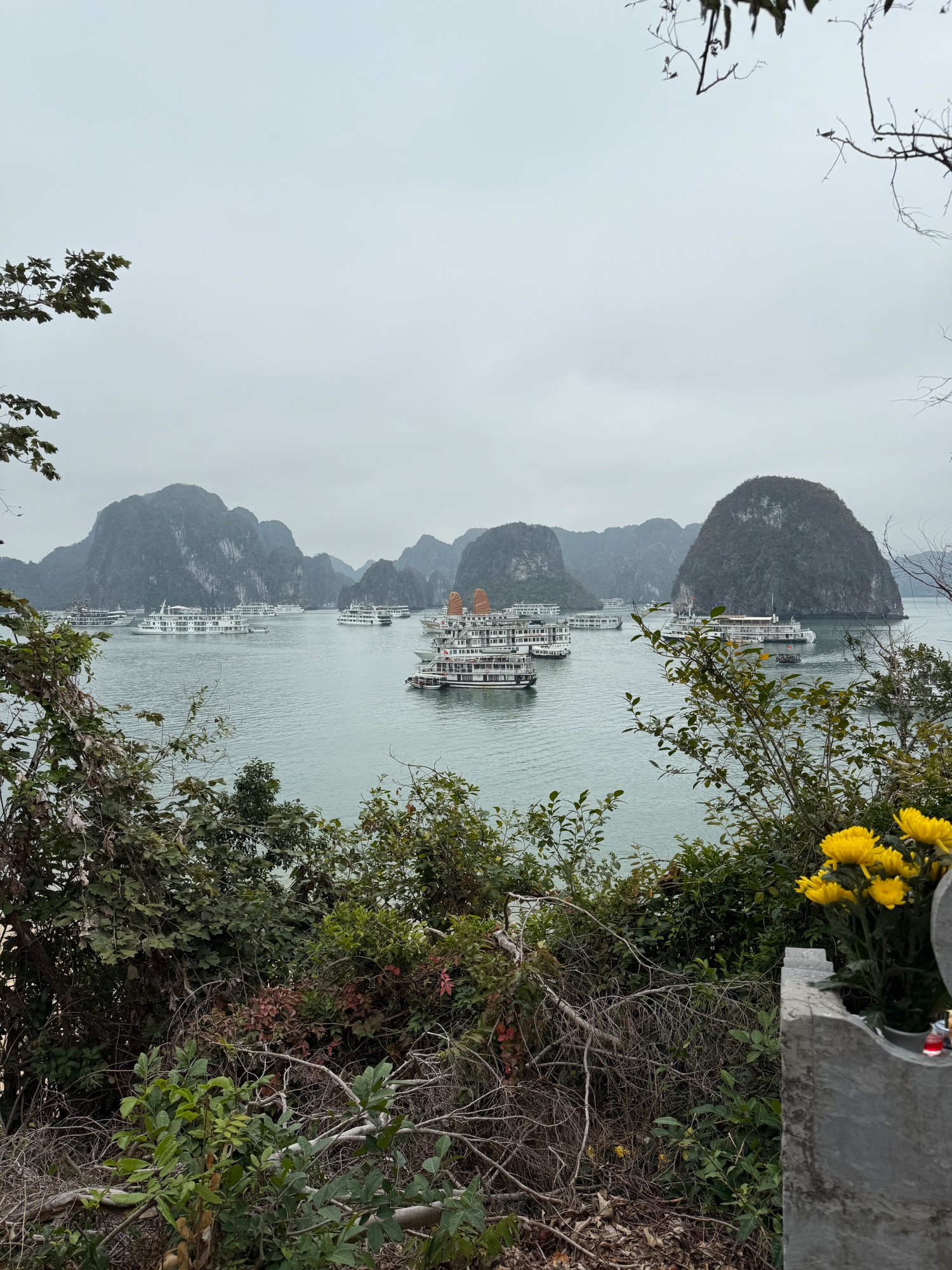 Multiple traditional wooden junks anchored in misty Halong Bay surrounded by limestone karst formations