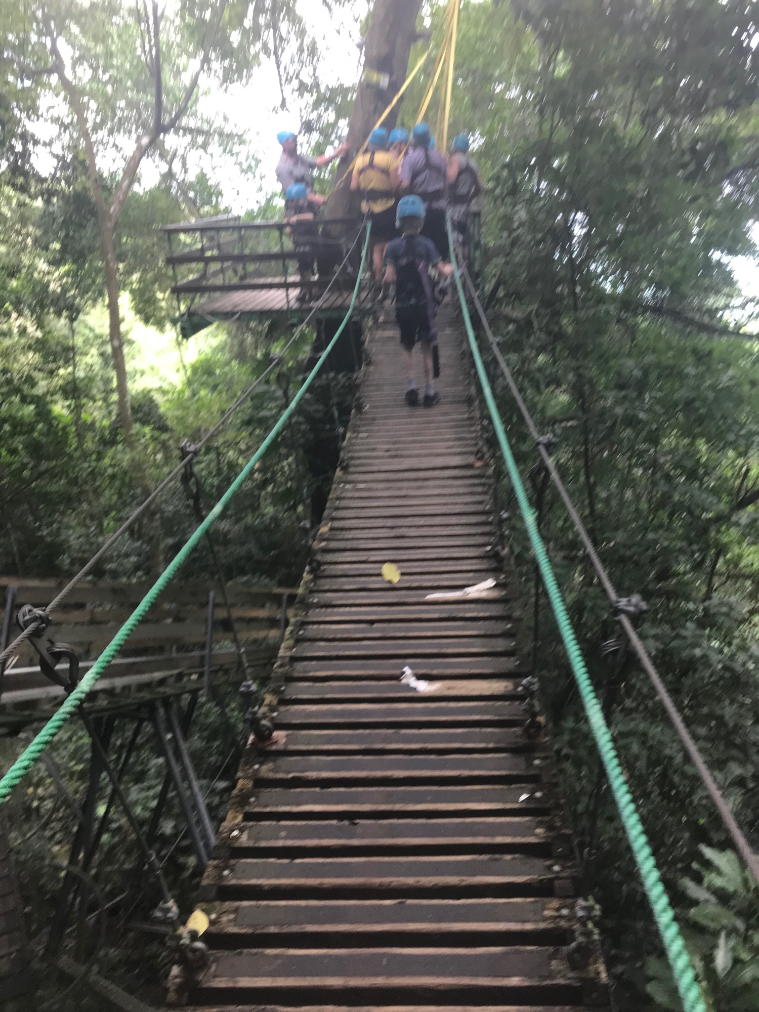 Wooden suspension bridge through dense green rainforest canopy with people in safety gear crossing overhead