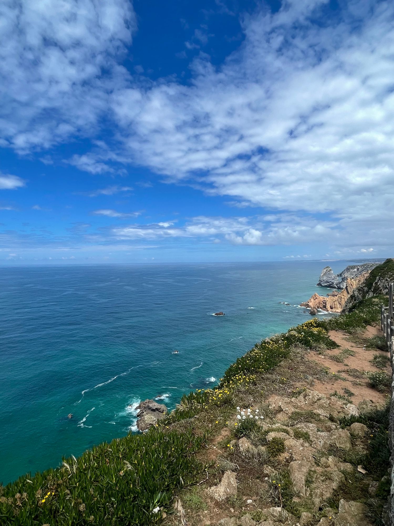 Dramatic coastal cliffs with turquoise ocean, rocky outcrops, and wildflowers under blue sky