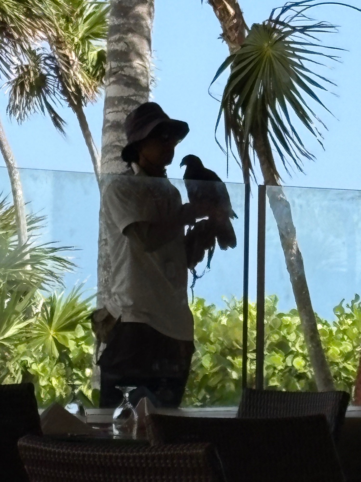 A silhouetted person holds a macaw perched on their arm near a window with ocean view