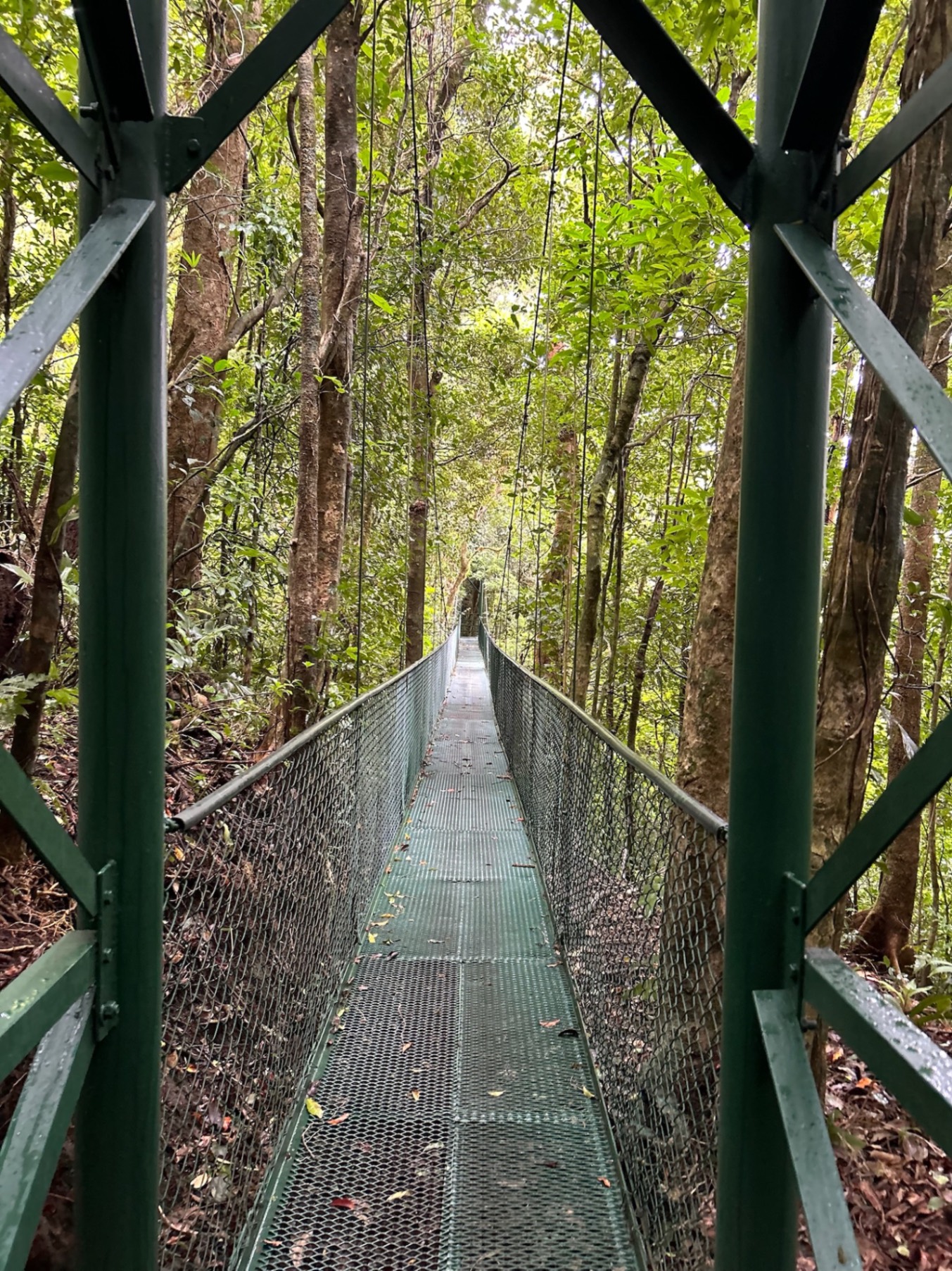 Jennine Hamilton Went to Costa Rica Expecting Luxury — The Jungle Had Other Plans — Costa Rica