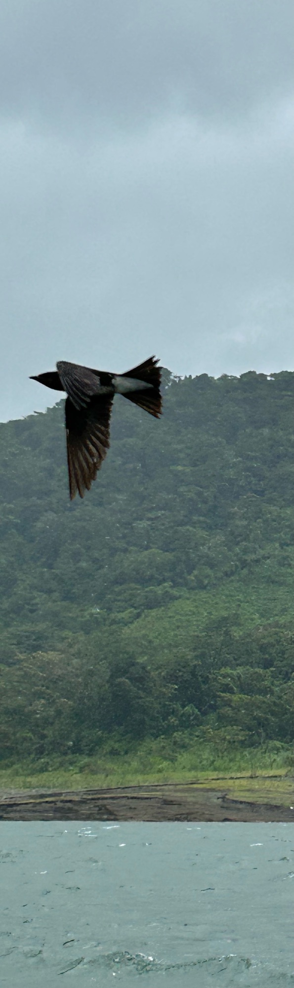 Jennine Hamilton Went to Costa Rica Expecting Luxury — The Jungle Had Other Plans — Costa Rica