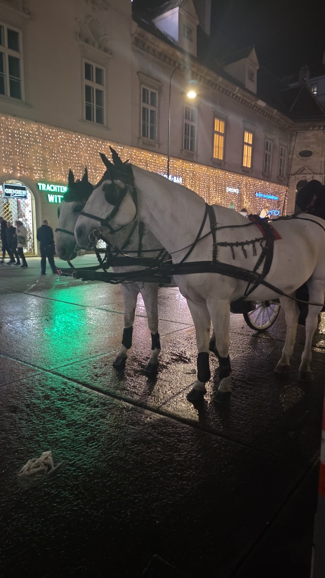 Austria — Olga Leonetti's travel story