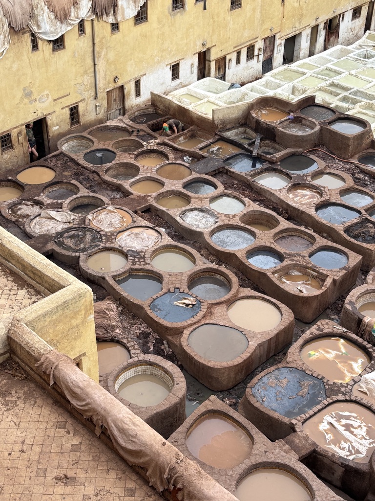 Morocco — jennifer danter's travel story