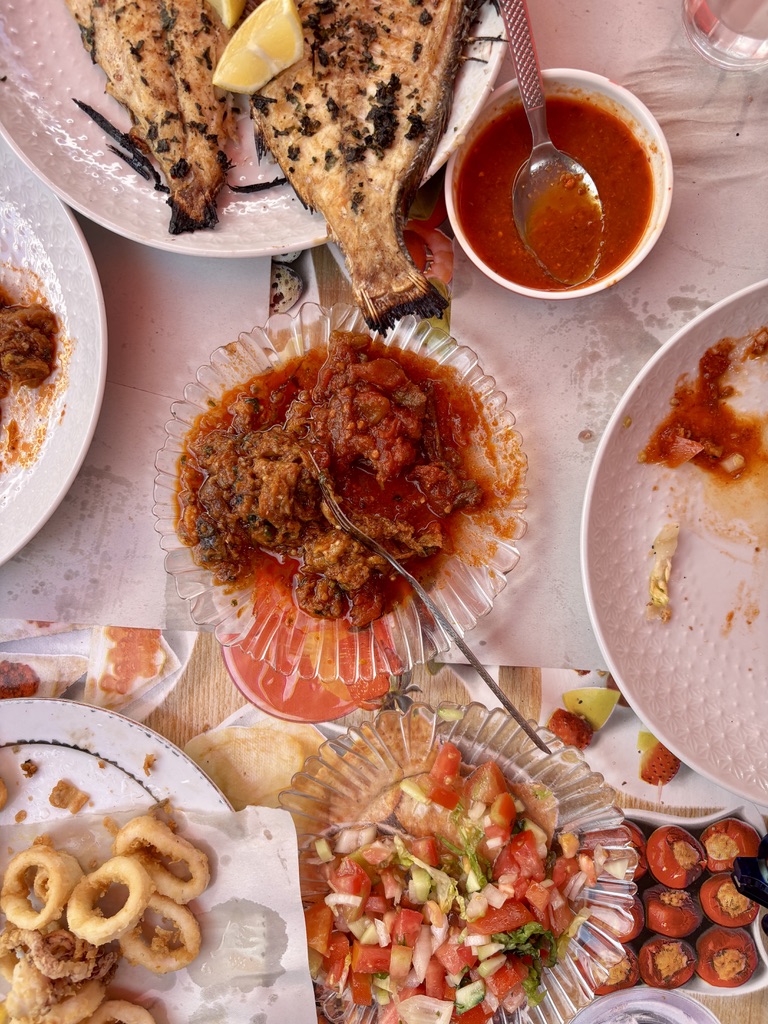 Morocco — jennifer danter's travel story