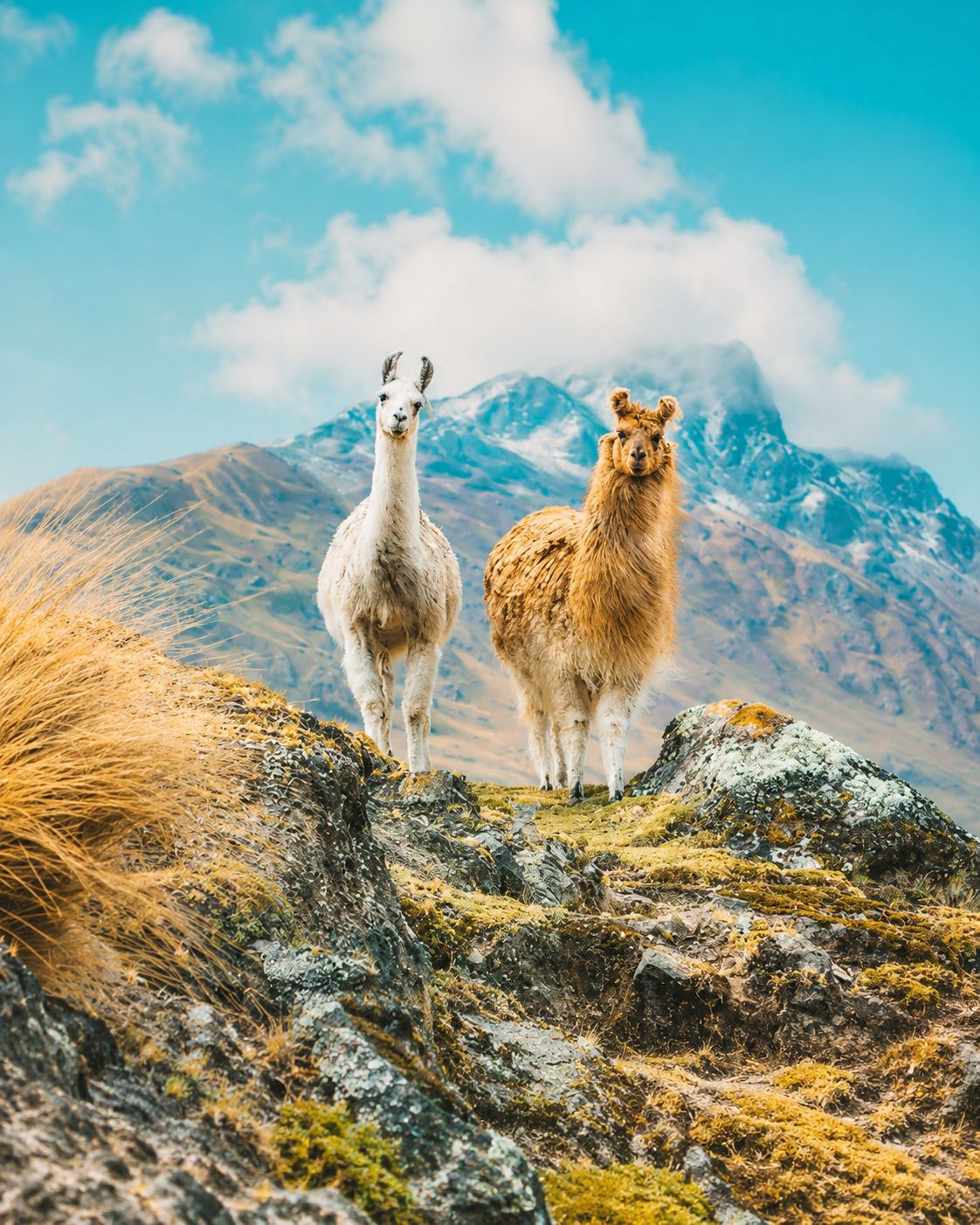 Peru — Sarah De Sousa's travel story